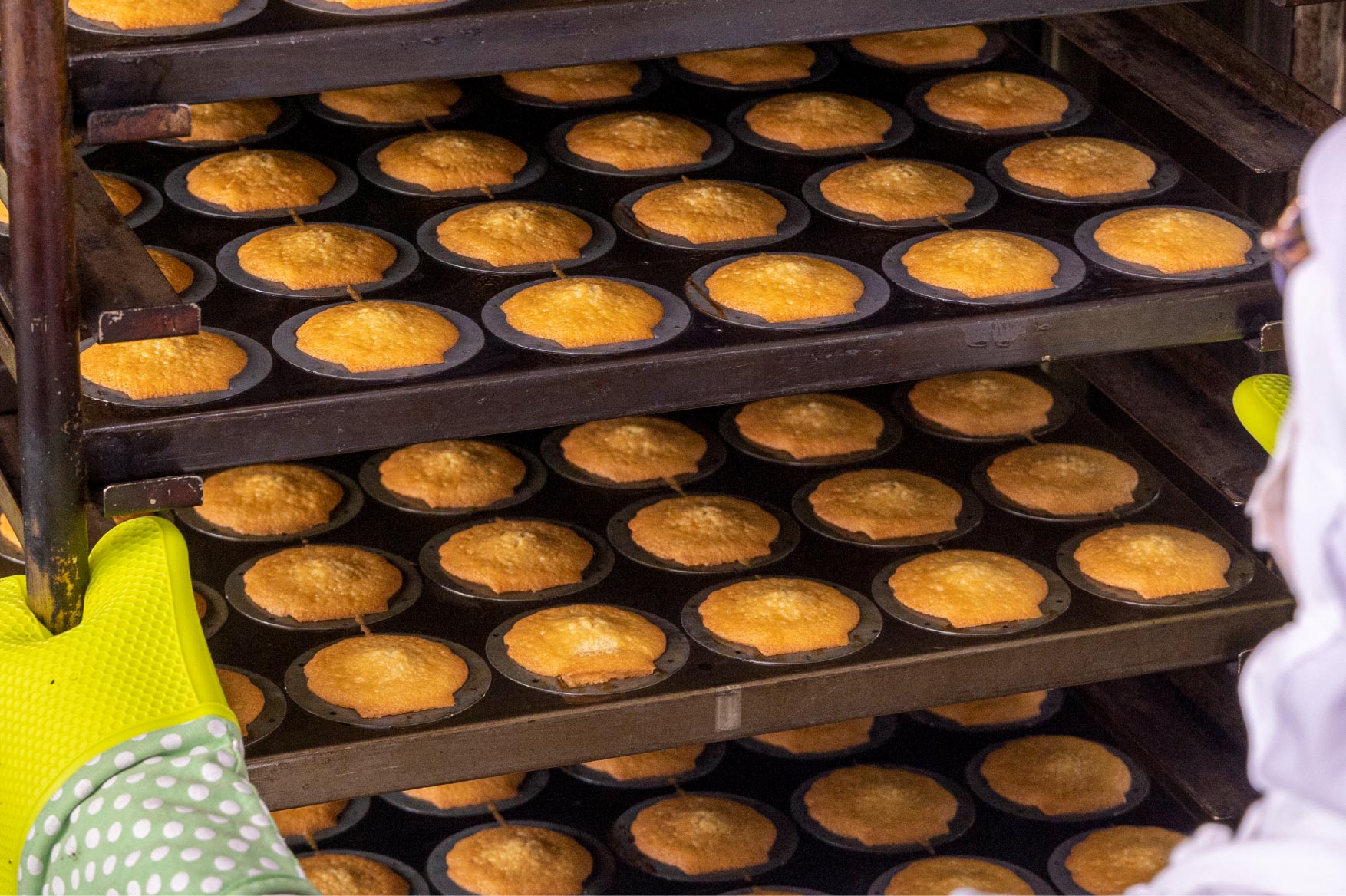 事業紹介イメージ